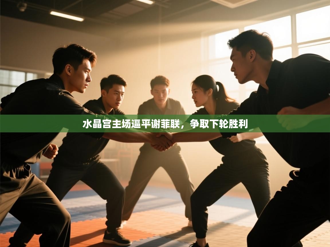 水晶宫主场逼平谢菲联,争取下轮胜利 第1张