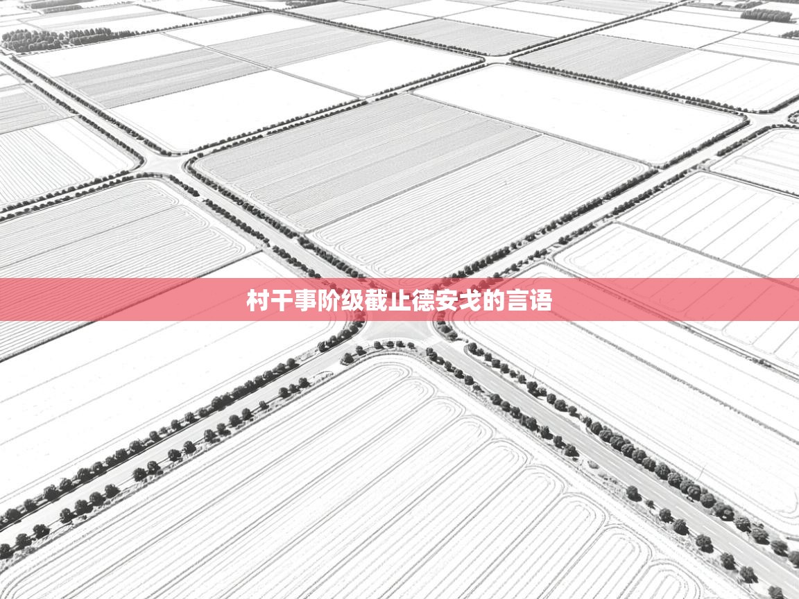 村干事阶级截止德安戈的言语  第2张